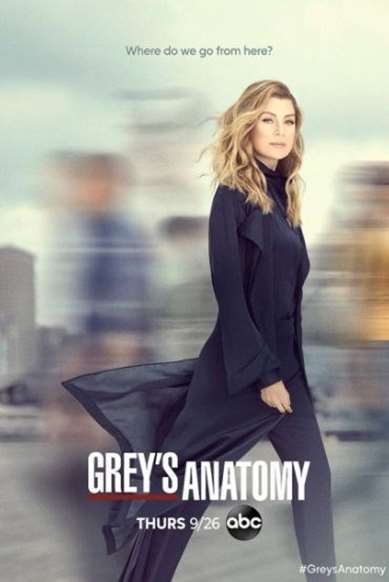 6. Greys Anatomy 2005